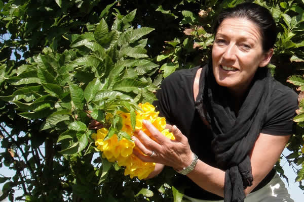 Frühlingsblüte im Schlössl am See