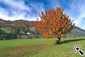 Herbst am Reschensee